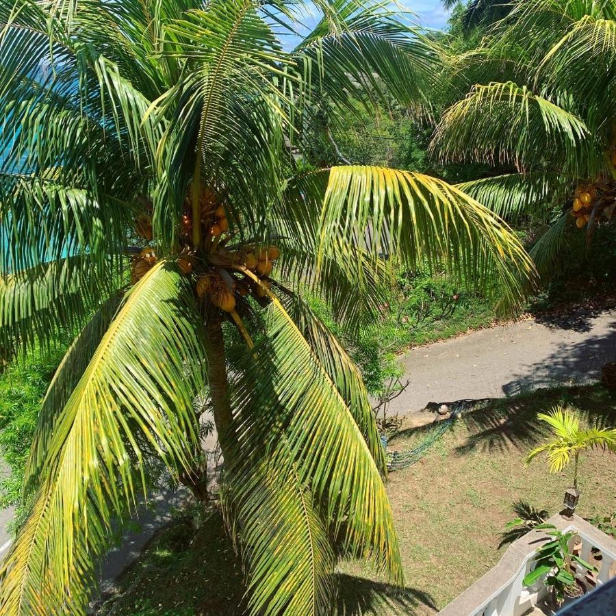 Epea Ocean View Apartment Tortoise Machabee Esterno foto